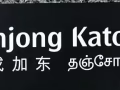 加東私人排屋，有主人房有女床位出租，可以報製造業本屋地址跟服務業地址。