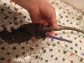专业24小时 疏通各种下水管道 价格合理 80841666
