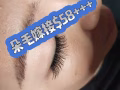 睫毛嫁接$58+++