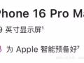 苹果16 pro max 256gb 沙漠金