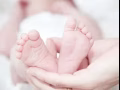 **素食家庭專屬**上門育兒保姆服務 🌱👶🍲