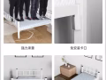 ❤️❤️❤️ 全新坚固钢架单人床（带床板+床垫）