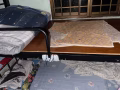 床位出租