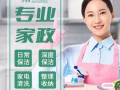 晨心家政服务公司  91744539WhatsApp