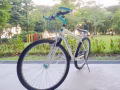 回國代處理朋友德國進口自行車