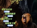 转让三张夜间动物园门票