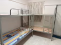 淡宾尼，男，女床位出租400