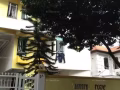 公寓出售