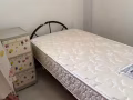 淡滨尼东女搭房和男搭房出租