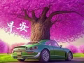 波那维斯达