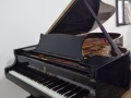 三角钢琴 Steinway Piano B-211