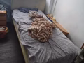 男搭房出租